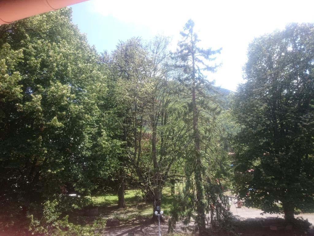 Hotel Fleuri 3*